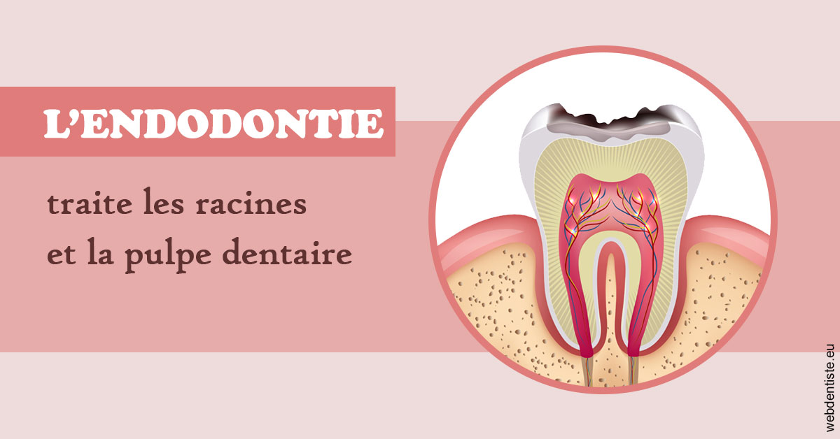 https://dr-geffray-justine.chirurgiens-dentistes.fr/L'endodontie 2