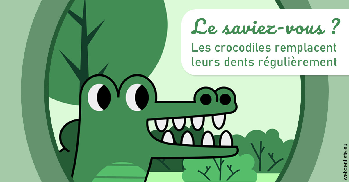 https://dr-geffray-justine.chirurgiens-dentistes.fr/Crocodiles 2
